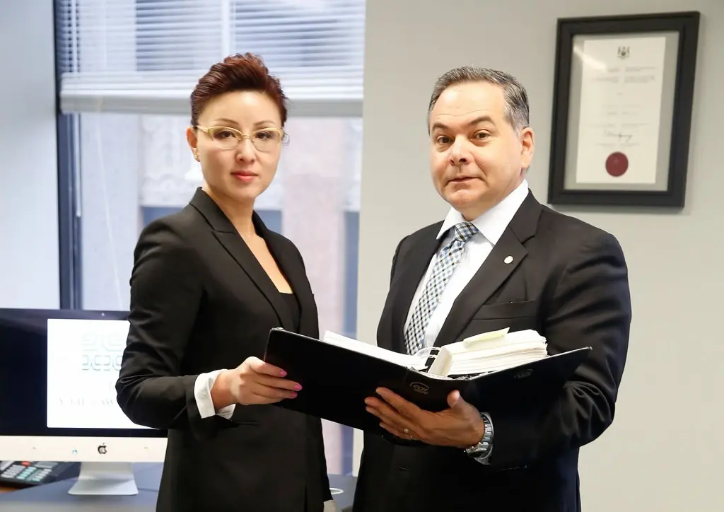 Law firm professionals